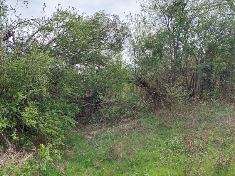 Til salg  Grund region Veliko Tarnovo , Debelets , 2388 kvm | 74213530 - billede [5]