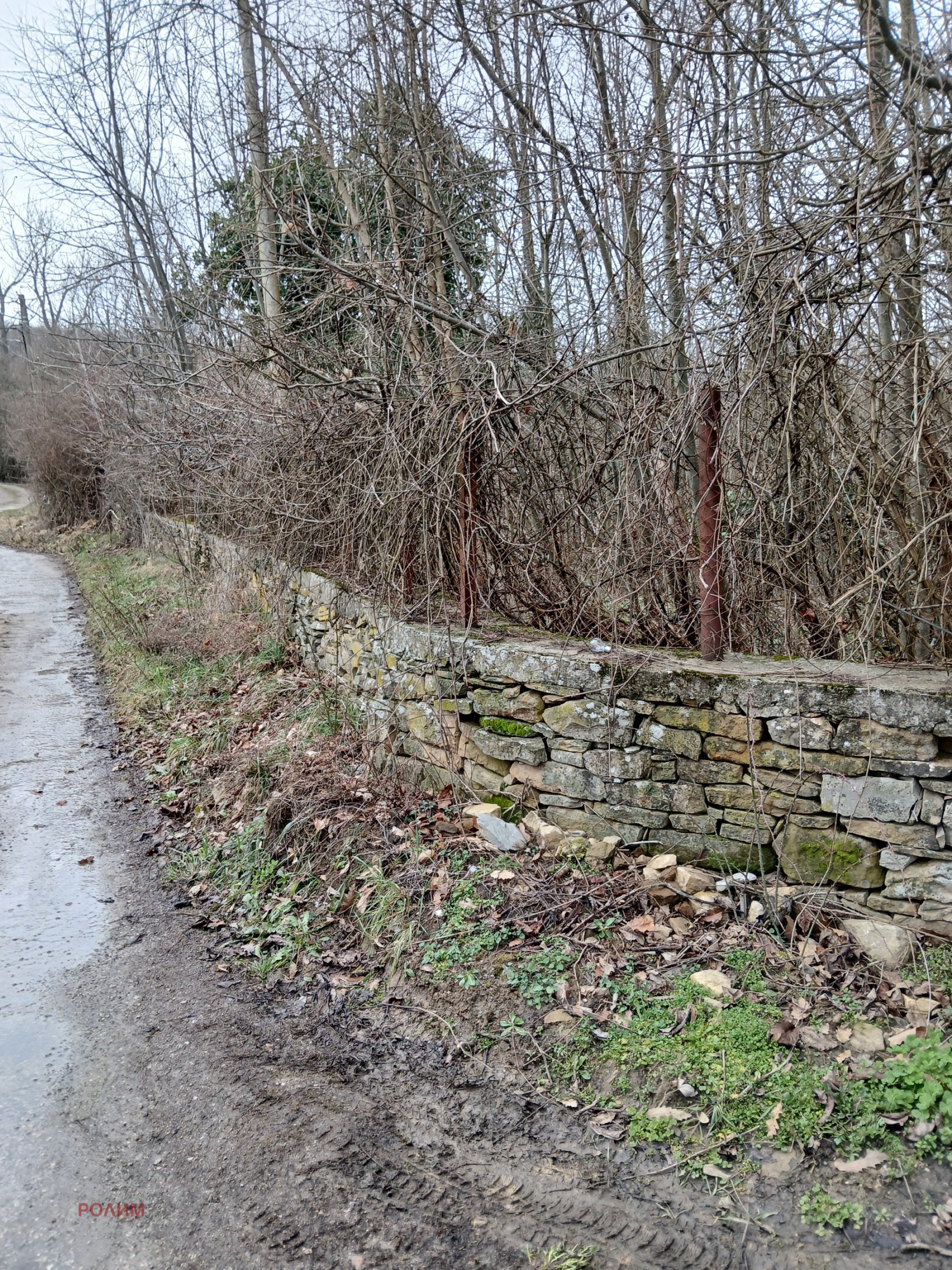 Продава КЪЩА, с. Парчовци, област Габрово, снимка 6 - Къщи - 53688785