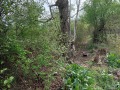 Продава ПАРЦЕЛ, област Велико Търново, гр. Дебелец • 83000 € • 67122754 — Holmes.bg
