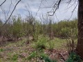 Продава ПАРЦЕЛ, област Велико Търново, гр. Дебелец • 83000 € • 67122754 — Holmes.bg