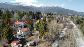 ����� ������� ������,�.�.�����, ������ �����