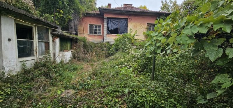 Продава  Къща област София , с. Церово , 75 кв.м | 40343008