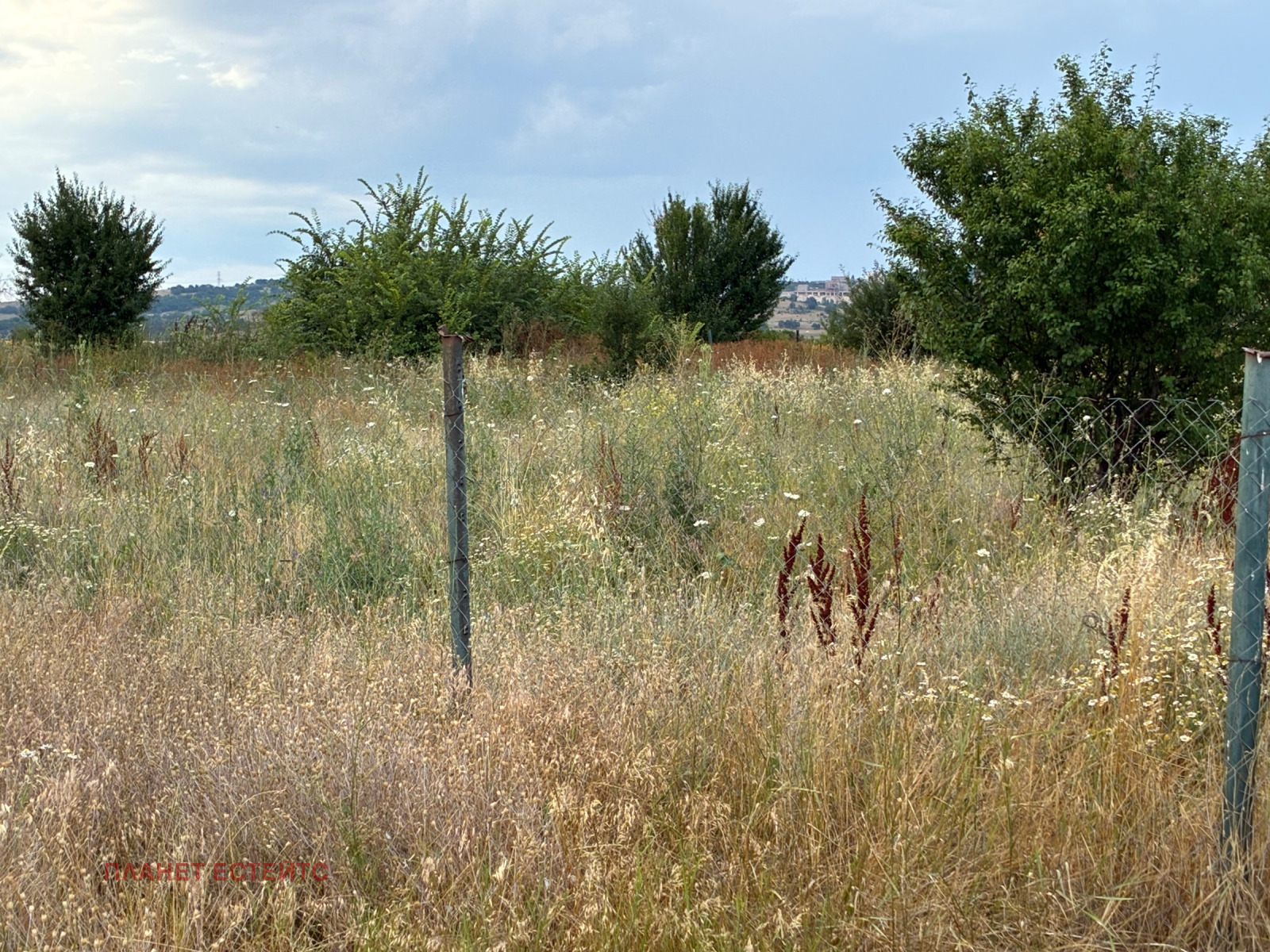 Продава ПАРЦЕЛ, с. Голяновци, област София област, снимка 4 - Парцели - 55246468