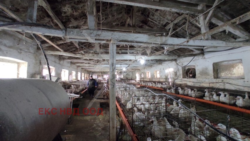 ������� ����� | Imot.bg � ����������� 1