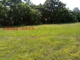 Продава ПАРЦЕЛ, с. Резово, област Бургас, снимка 3 - Парцели - 55448759