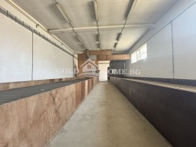 ������ ������� ����. ���������