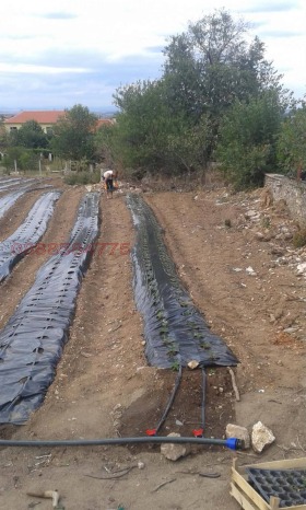 ������� ������ | Imot.bg � ����� ������ 4