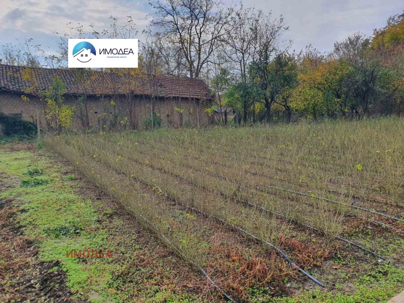 Продава КЪЩА, с. Батак, област Велико Търново, снимка 4 - Къщи - 52319152