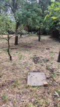 Продава ПАРЦЕЛ, област София, с. Челопеч • 32000 € • 63515574 — Holmes.bg