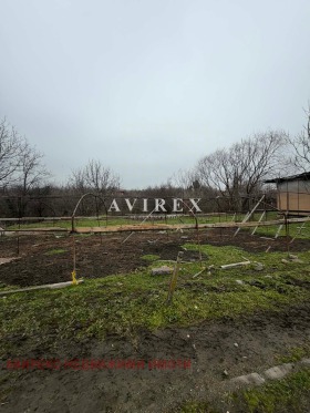 ������ ������� ������