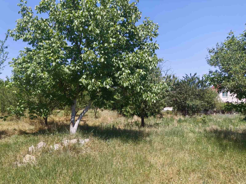 For Sale  Plot Sofia , Busmantsi , 2065 sq.m | 33596716 - image [2]