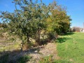 Продава ПАРЦЕЛ, с. Кочево, област Пловдив, снимка 2