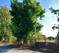 Продава ПАРЦЕЛ, с. Кочево, област Пловдив, снимка 3