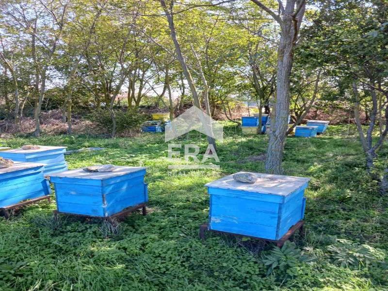 Продава ПАРЦЕЛ | Imot.bg — изображение 2