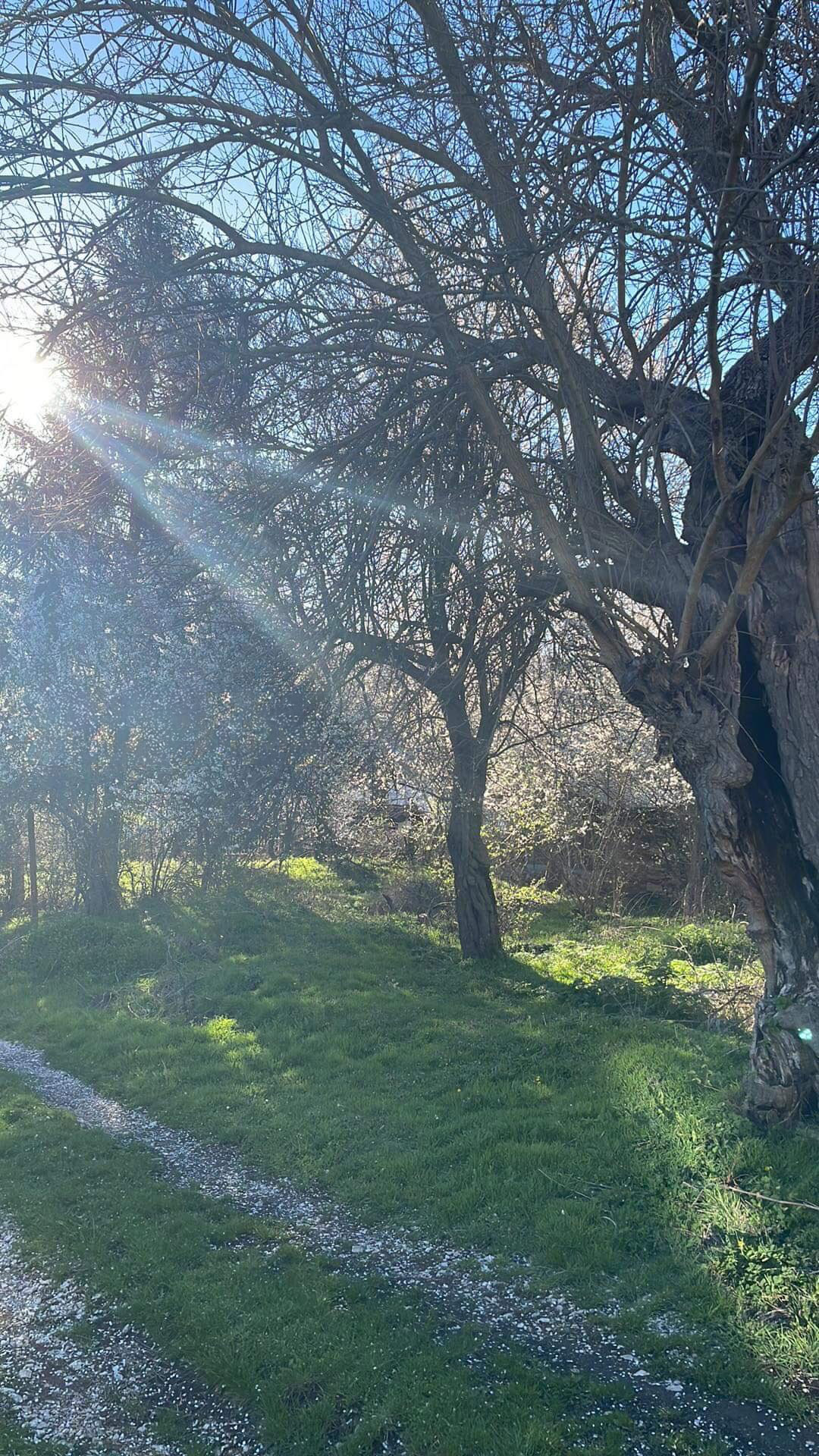 Продава ПАРЦЕЛ | Imot.bg — изображение 2