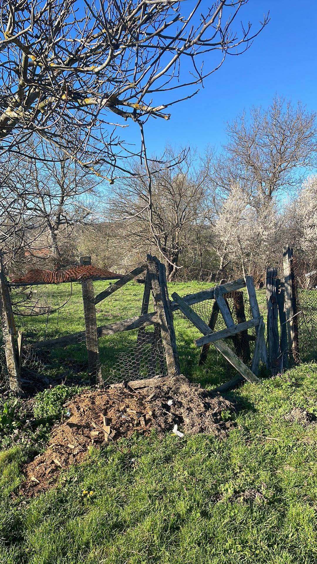 Продава ПАРЦЕЛ | Imot.bg — изображение 1