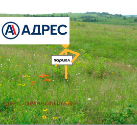 Plot Storgoziya, Pleven
