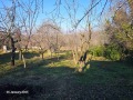 Продава КЪЩА, град Варна, м-т Боровец - север • 140000 € • 13228122 — Holmes.bg