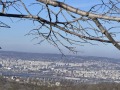 Продава КЪЩА, град Варна, м-т Боровец - север • 140000 € • 13228122 — Holmes.bg