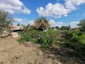 Продава КЪЩА, област Добрич, с. Соколово • 79000 € / 154510.57 лв. • 25475323 10
