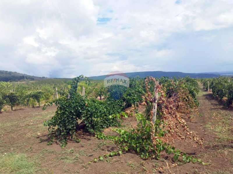 Προς πώληση  Μπαρ; καφετέρια περιοχή Βάρνα , Σλαντσεβο , 234 τ.μ | 40755937 - εικόνα [16]