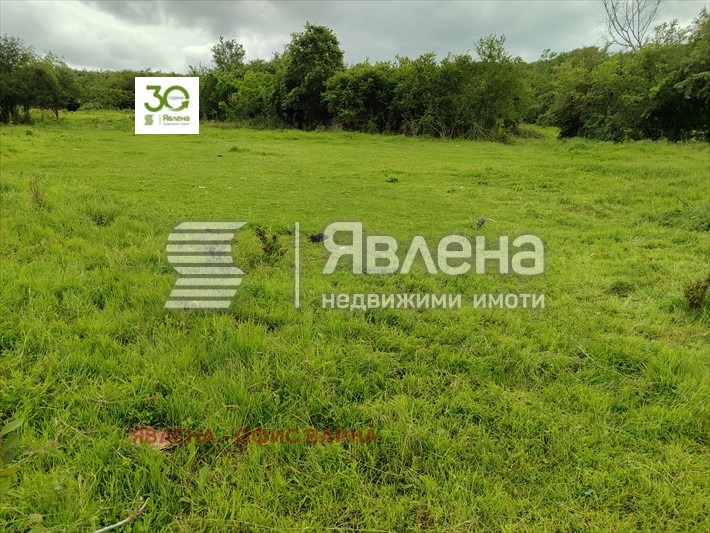 Продава ПАРЦЕЛ, с. Горен чифлик, област Варна, снимка 4 - Парцели - 49351374