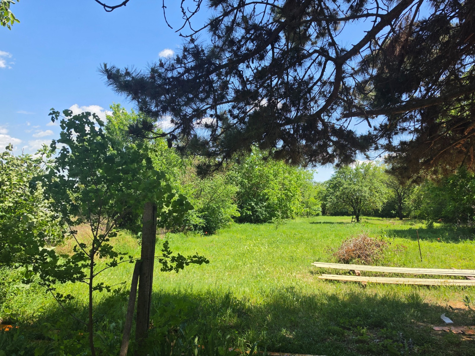 Продава КЪЩА, с. Щипско, област Варна, снимка 14 - Къщи - 54765569