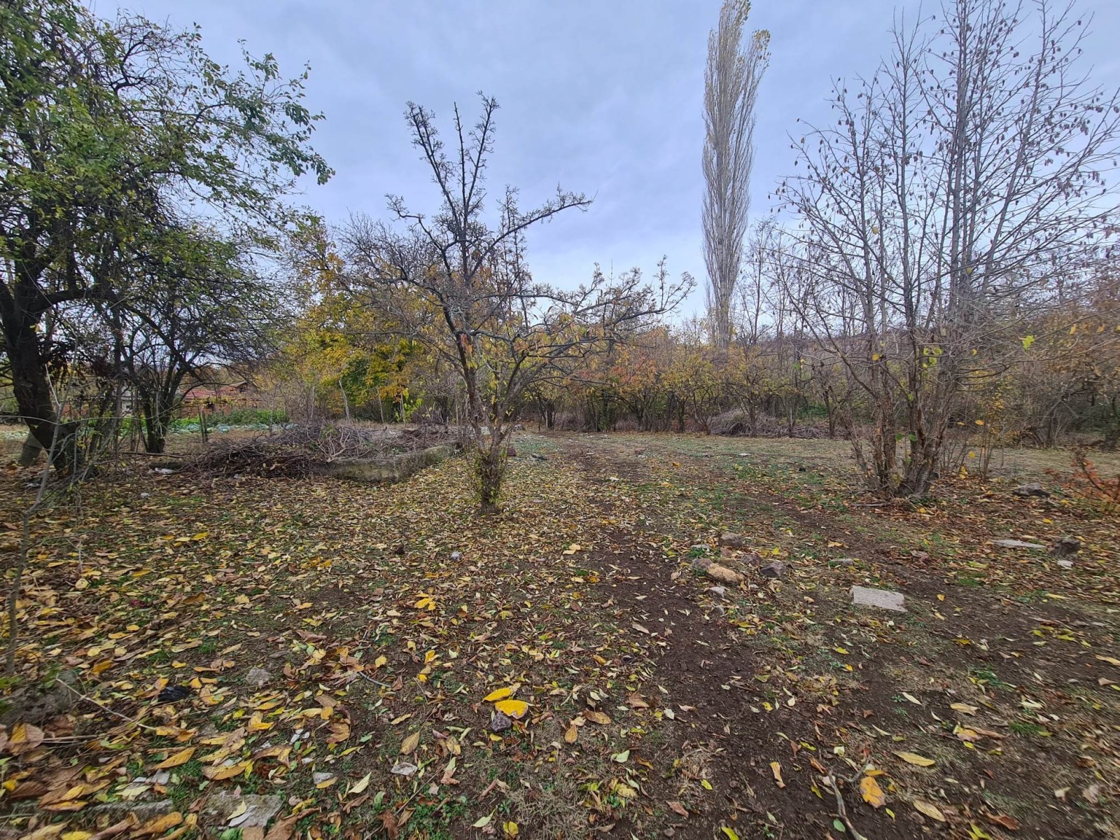 ������� ���� | Imot.bg � ����������� 5