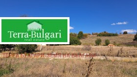 ����� ������� ������,�. ��������, ������ ������