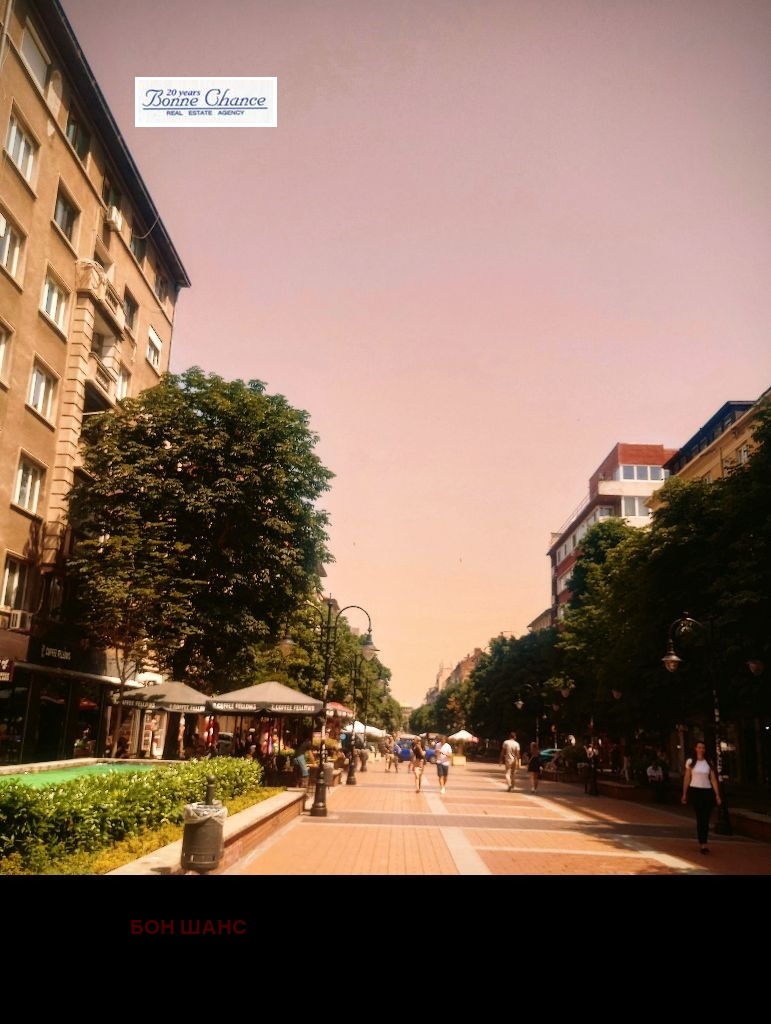 Na prodej  Dům Sofia , Centar , 245 m2 | 67572742 - obraz [2]