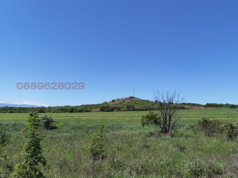 Продава ЗЕМЕДЕЛСКА ЗЕМЯ, с. Бошуля, област Пазарджик, снимка 2 - Земеделска земя - 53142641