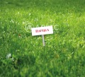 Продава ПАРЦЕЛ, град София, Младост 1 • 700000 € • 85226524 — Holmes.bg
