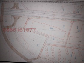 ����� ������� ������,���� �����, ���������