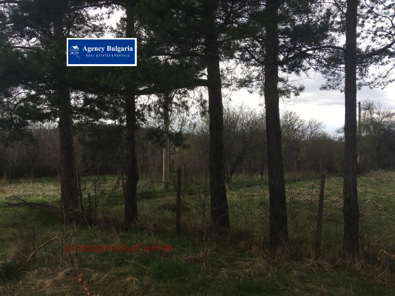 For Sale  Plot region Sofia , Dramsha , 2135 sq.m | 61420492 - image [3]