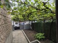 Продава КЪЩА, гр. Перник, Клепало, снимка 13