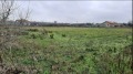 Продава  Парцел област Добрич , с. Божурец , 3500 кв.м | 26171434 - изображение [3]