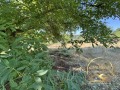 Продава  Парцел област Хасково , гр. Димитровград , 556 кв.м | 22065671 - изображение [2]