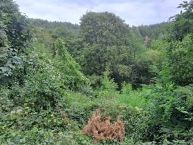 ������� ������ | Imot.bg � ����� ������ 10