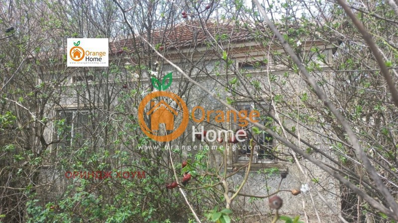 Продава  Къща област Добрич , с. Змеево , 100 кв.м | 26279116 - изображение [2]