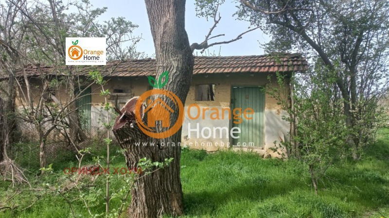Продава  Къща област Добрич , с. Змеево , 100 кв.м | 26279116 - изображение [4]