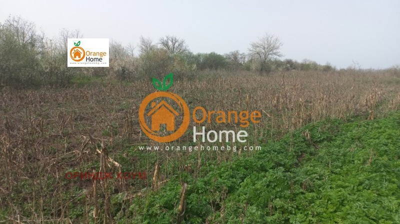 Продава  Къща област Добрич , с. Змеево , 100 кв.м | 26279116 - изображение [3]
