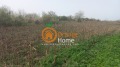Продава КЪЩА, с. Змеево, област Добрич, снимка 3