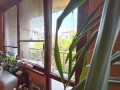 Продава 3-СТАЕН, гр. София, Борово, снимка 4