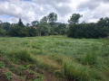 Продава ПАРЦЕЛ, с. Горни Окол, област София област, снимка 3