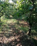Продава ПАРЦЕЛ, област Бургас, гр. Айтос • 40000 € • 15525499 — Holmes.bg