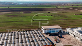 ������ ������� ������