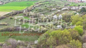������� ���������� ���� | Imot.bg � ����� ������ 8