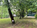 Продава ПАРЦЕЛ, гр. София, в.з.Килиите, снимка 2