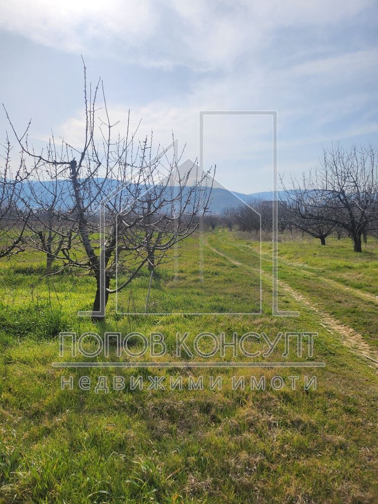 ������� ������ | Imot.bg � ����������� 2