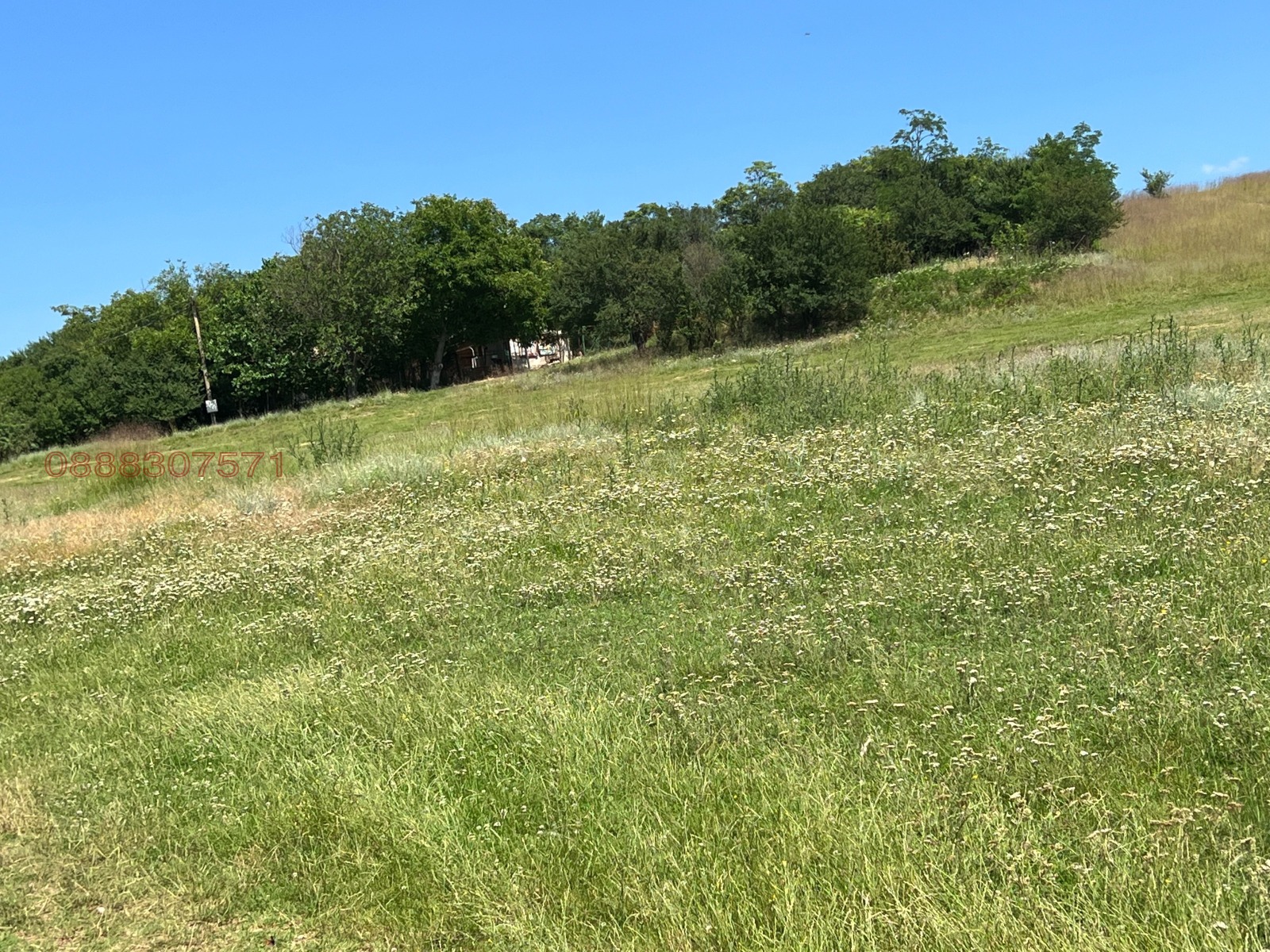 ������� ���� | Imot.bg � ����������� 10